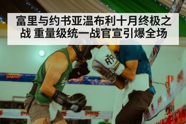 富里与约书亚温布利十月终极之战 重量级统一战官宣引爆全场