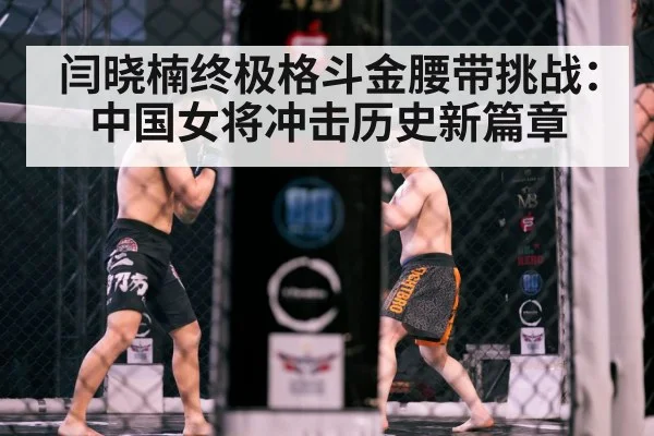 MMA cage fight