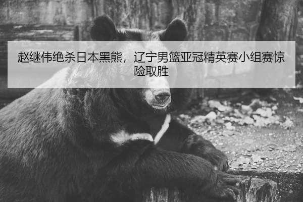 赵继伟绝杀日本黑熊，辽宁男篮亚冠精英赛小组赛惊险取胜