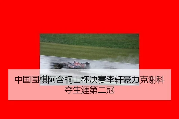 zhong-guo-wei-qi-a-han-tong-shan-bei-jue-sai-li-xuan-hao-li-ke-xie-ke-duo-sheng-ya-di-er-guan-2-444.jpg
