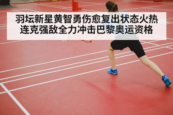 badminton court competition
