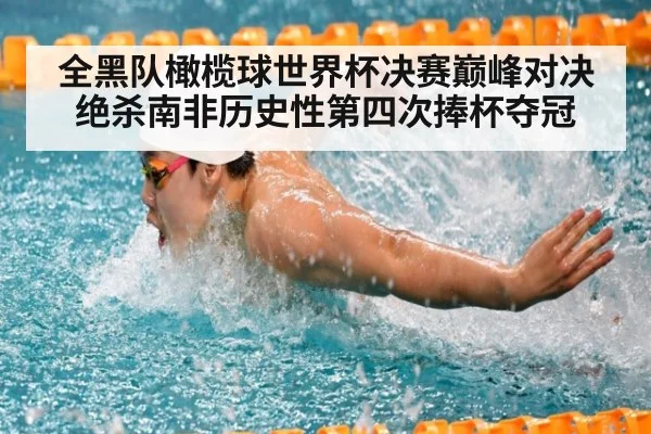 全黑队橄榄球世界杯决赛巅峰对决绝杀南非历史性第四次捧杯夺冠