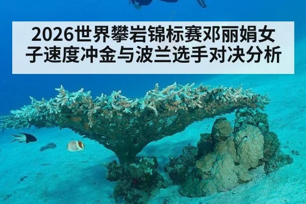 2026世界攀岩锦标赛邓丽娟女子速度冲金与波兰选手对决分析